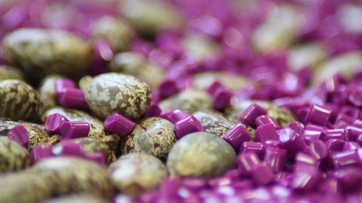 Bio-Polyamide Market 2019 With Top Countries Data: Industry Trends, Share, Size, Top Key Players Analysis and Forecast Bio-Polyamide Market 2019 With Top Countries Data: Industry Trends, Share, Size, Top Key Players Analysis and Forecast