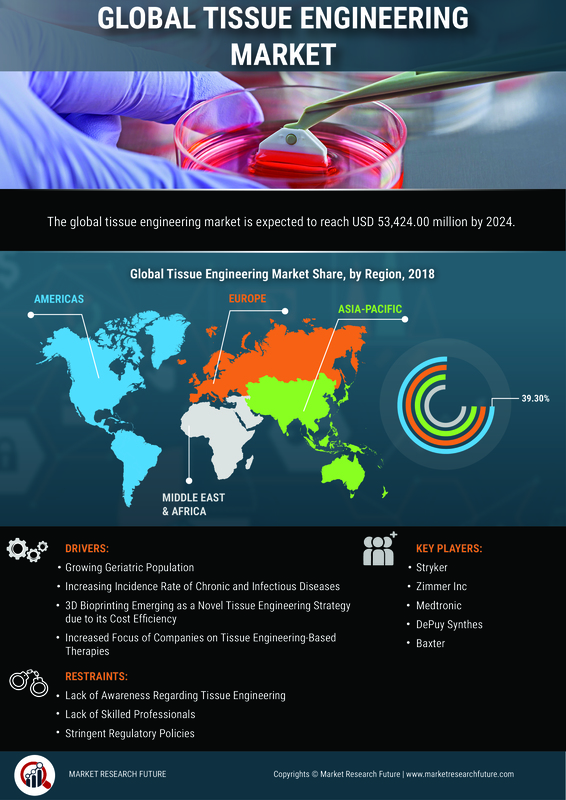 Tissue Engineering Market to Be influenced by Increasing Expenditure in Research & Development, Global Industry Size, Share, Growth, Analysis, Competitive Landscape, Regional Outlook