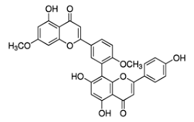 Ginkgetin Market to Set Prodigious Growth by 2025 | Xi\'an Lyphar Biotech, Xi\'an Hao-Xuan Bio-Tech, Hunan Nutramax