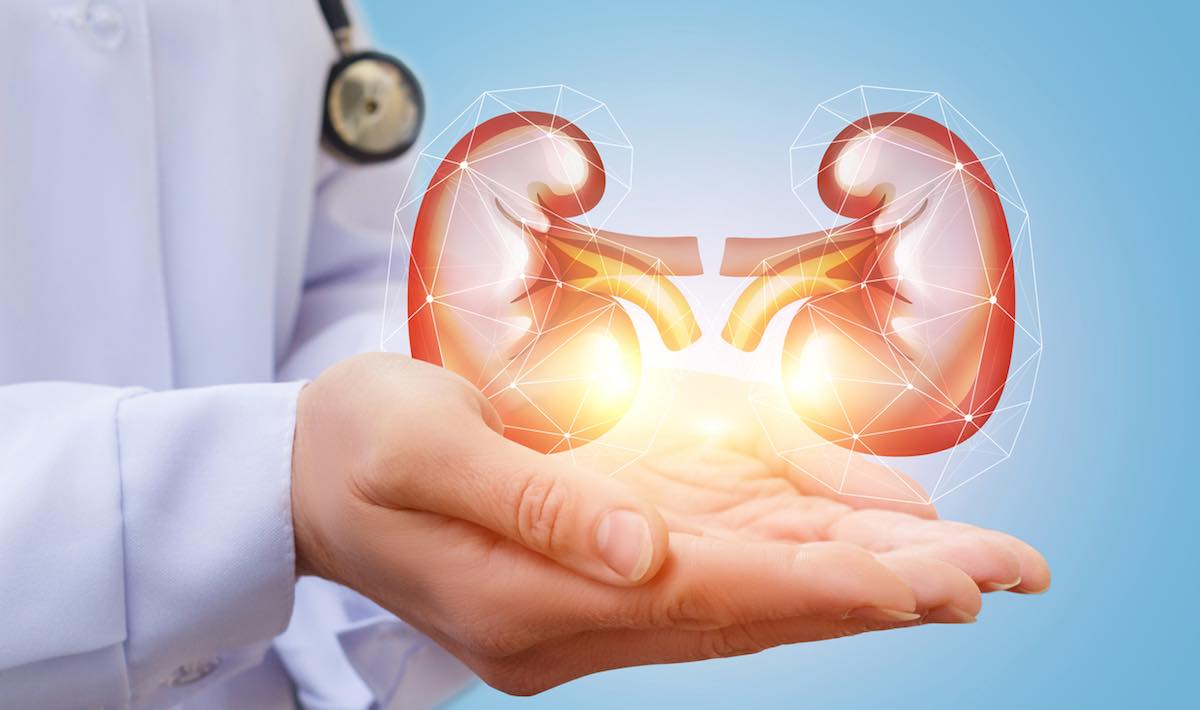 Artificial Kidney Market - Increasing Demand with Industry Professionals by 2025| Xcorporeal, NxStage, Medtronic, DaVita