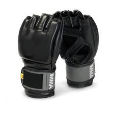 Kickboxing Equipment Market- In-Depth Analysis on Forthcoming Development: key players Adidas, Everlast Worldwide, Hayabusa Fightwear