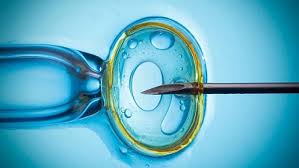 In Vitro Fertilization Market Future Prospect 2025 | Vitrolife, Cook Medical, Irvine Scientific, Thermo Fisher, Merck