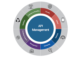 API Management Market to see huge Growth by 2025 | CA Technologies, Google, MuleSoft, Nexright