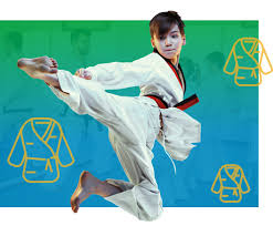 What Challenges Martial Arts Software Market May See in Next 5 Years