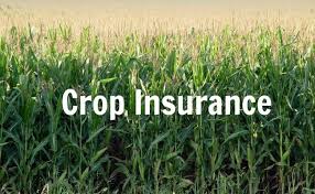 Explore Agriculture Crop Insurance Market: Chubb, Prudential Financial, AXA, Everest Re