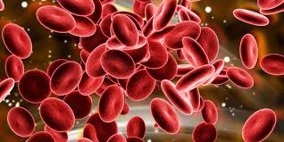 Erythropoietin Market Outlook: Investors Still Miss the Big Assessment