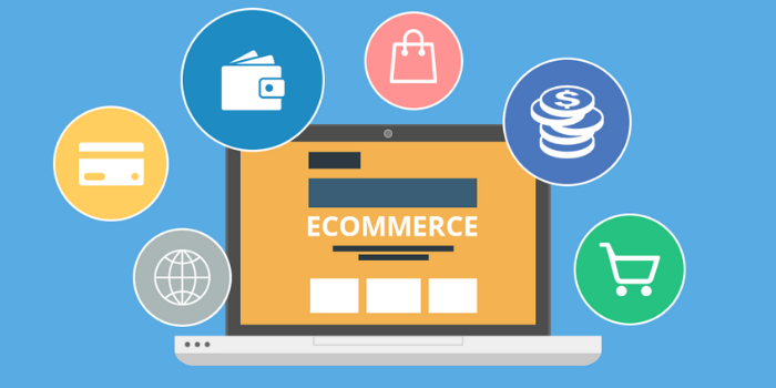 E-commerce in India Growing Popularity and Emerging Trends in the Market