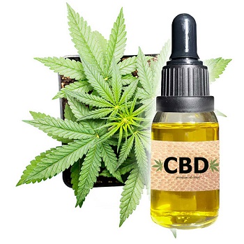 cbd american shaman merrillville