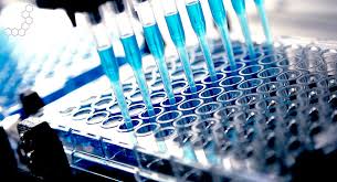 Bioanalytical Services Market: The Competitive Environment May Be at Best
