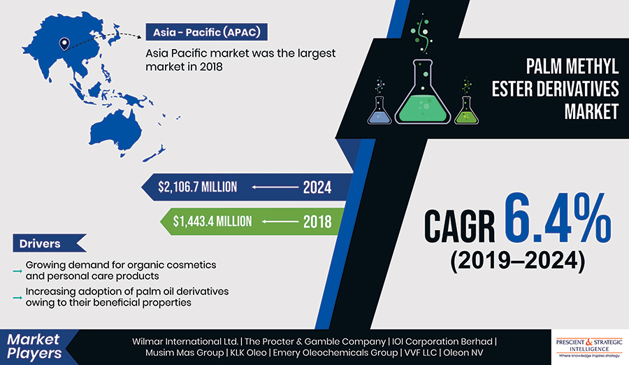 Palm Methyl Ester Derivatives Market Driven by Need for Sustainable Power