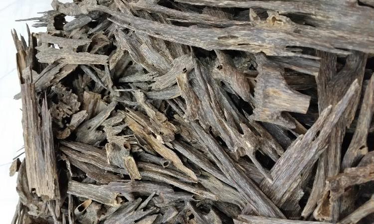 New Internationl Research Report of Agarwood Chip Market Manufacturers 2020-2025