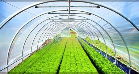 Greenhouse Films Market 2020: Global Key Players, Trends, Share, Industry Size, Segmentation, Opportunities, Forecast To 2026	