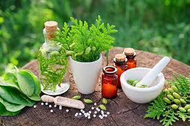 Herbal Medicines Market Size Analysis and Growth Opportunities by 2025: Dabur, Herbal Africa, Nature Herbs