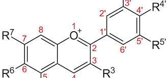 Global Phenolic Antioxidant Market Basic Segments and Value Chain Structure (2020-2025)