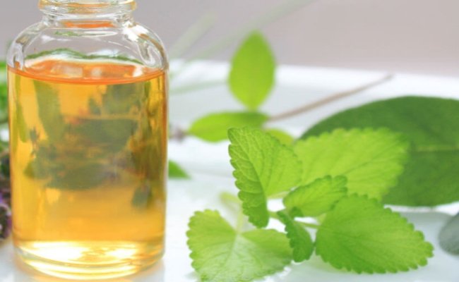 Catnip Oil Market 2020: Global Key Players, Trends, Share, Industry Size, Segmentation, Opportunities, Forecast To 2026	