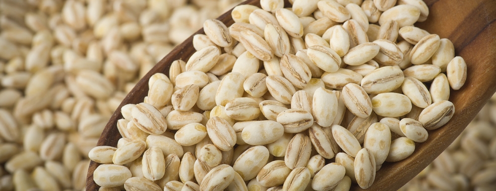 Barley Market Report, Size, Share, Industry Growth, Price Analysis, Trends, Outlook, Forecast 2020-2025 Barley Market Report, Size, Share, Industry Growth, Price Analysis, Trends, Outlook, Forecast 2020-2025