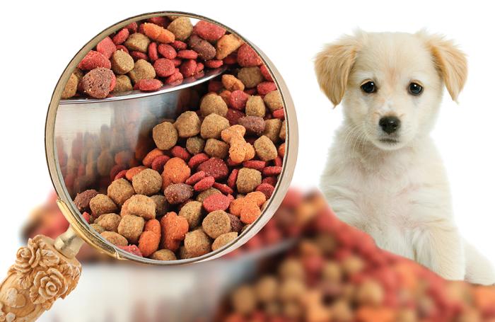 Pet Food Market Report 2020, Size, Share, Industry Growth, Research, Trends, Price Analysis, Maarket Outlook and Forecast Pet Food Market Report 2020, Size, Share, Industry Growth, Research, Trends, Price Analysis, Maarket Outlook and Forecast