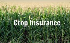 Agriculture Crop Insurance- A Market Worth Observing Growth | Chubb, AXA, Sompo 