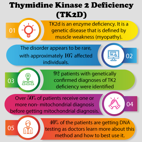 Thymidine Kinase 2 Deficiency Market Insight, Market Size, Epidemiology, Leading Companies, Emerging and Marketed Therapies By DelveInsight  