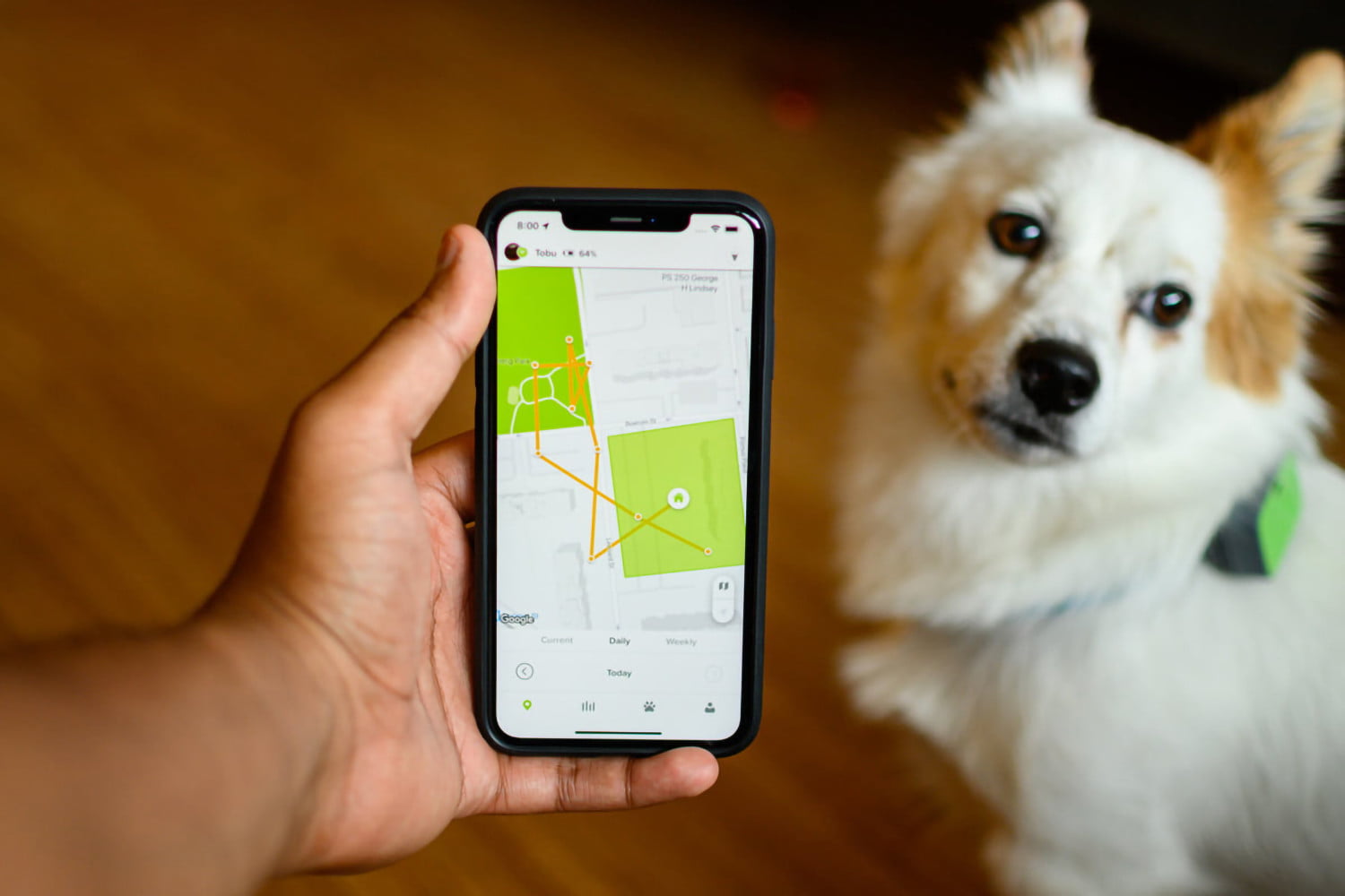 Pet Trackers Market to Witness Massive Growth by 2025: Marco Polo, POD, Link AKC, Tractive