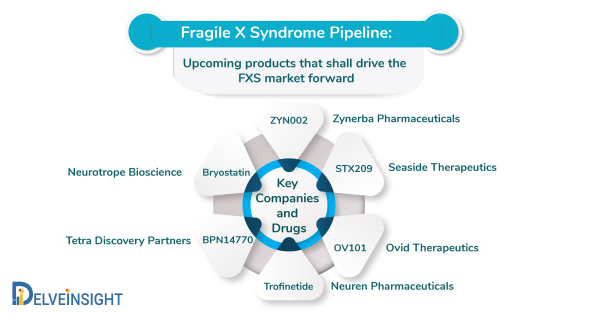 Fragile X Syndrome Pipeline: Upcoming products that shall drive the FXS market forward 