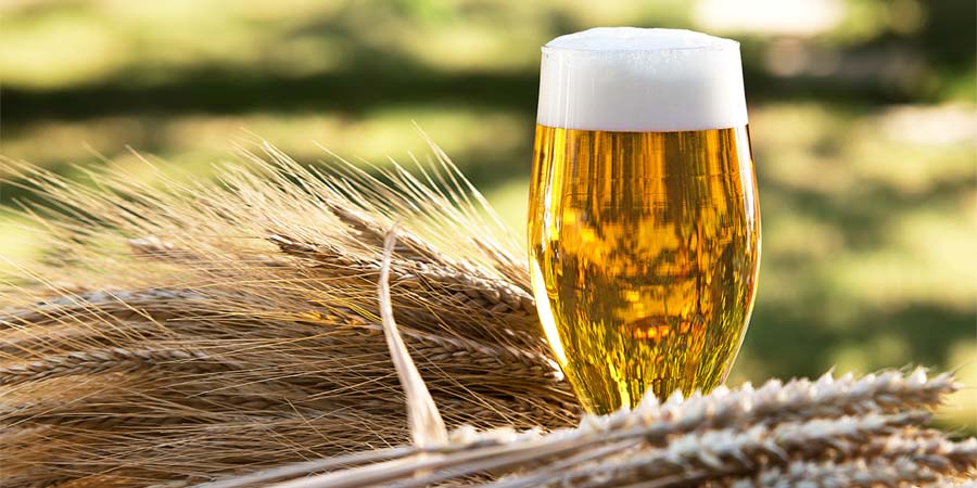 Beer Malt Market Outlook: Poised For a Strong 2020 | RedBull, Amstel Bier, Amstel Bier