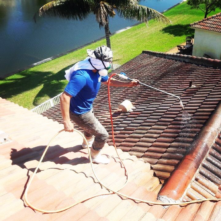 A&D Pressure Cleaning Becomes Well-Renowned Soft Washing Specialist in South Florida With 99.9% Effectiveness A&D Pressure Cleaning Becomes Well-Renowned Soft Washing Specialist in South Florida With 99.9% Effectiveness