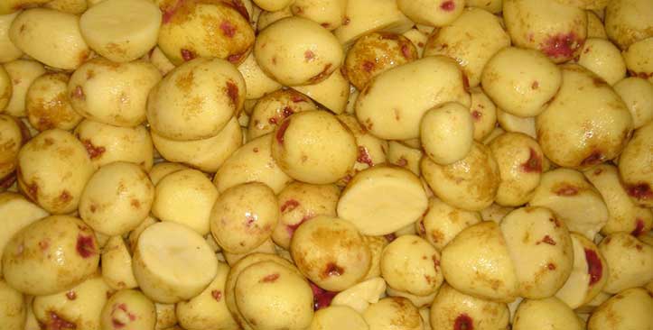Frozen Potatoes Market 2020 Global Covid-19 Impact Analysis, Trends, Opportunities and Forecast to 2026