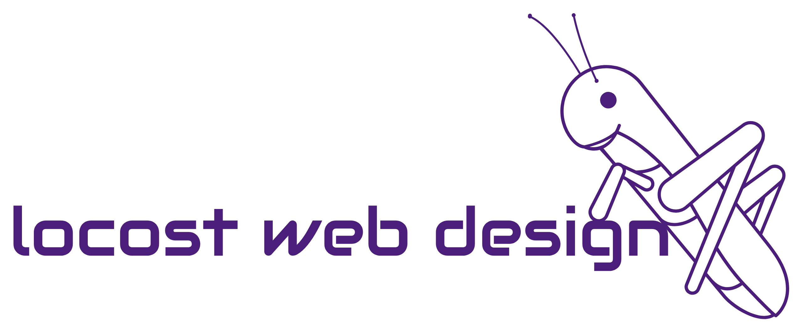 Locost Web Design has been providing web development and internet marketing services in North Jersey for many years to many local and national companies