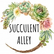 Succulentalley Set ToBe The Comprehensive Guide For The Fans Of Succulents