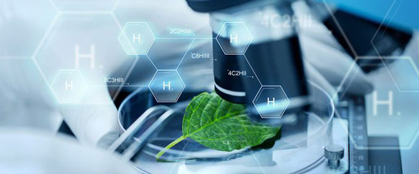 Prescribed Health Apps Market 2020 Global Analysis, Application, Trends, Opportunities and Forecast to 2026 Prescribed Health Apps Market 2020 Global Analysis, Application, Trends, Opportunities and Forecast to 2026
