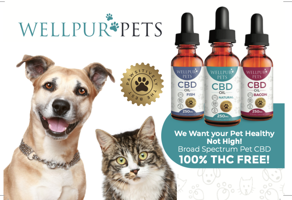 WellPUR Pets is utilizing Mr. Checkout's Fast Track Program to reach Independent Pet Stores Nationwide. WellPUR Pets is utilizing Mr. Checkout's Fast Track Program to reach Independent Pet Stores Nationwide.