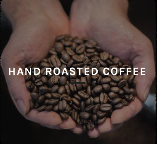 Women In Coffee Disrupting The Coffee Industry With Breakthrough Carbon Reduction 