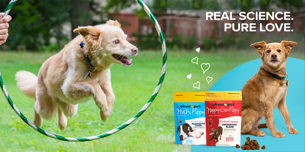 Okoa Pet is utilizing Mr. Checkout's Fast Track Program to reach Independent Pet Stores Nationwide. Okoa Pet is utilizing Mr. Checkout's Fast Track Program to reach Independent Pet Stores Nationwide.