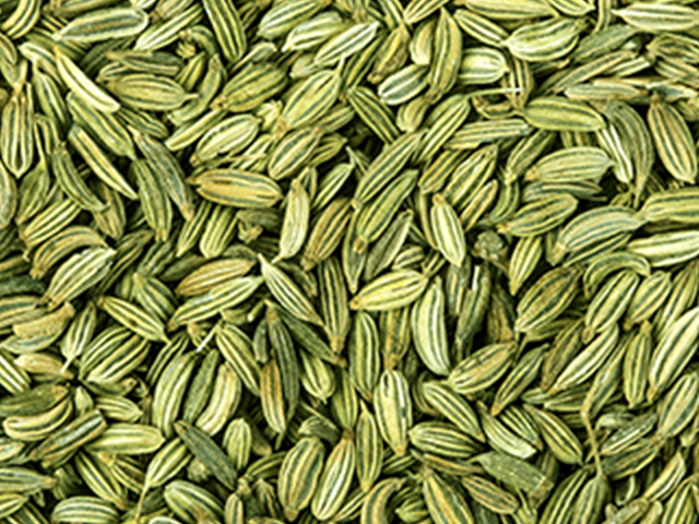 Fennel Seeds Market Boosting the Growth Worldwide | Agrocrops, Dhaval Agri Exports, Milan Seeds