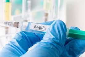 Rabies Vaccine Market SWOT analysis by Size, Status and Forecast to 2020-2025