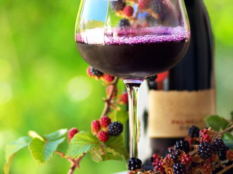 Fruit Wine Market Outlook 2021: Big Things are Happening