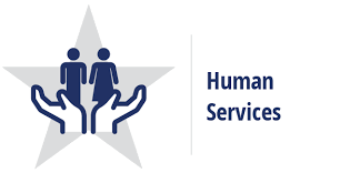 HUMAN SERVICES SOFTWARE Market Swot Analysis by key players INSZoom, Fulton Street Software, Sigmund Software, Harris