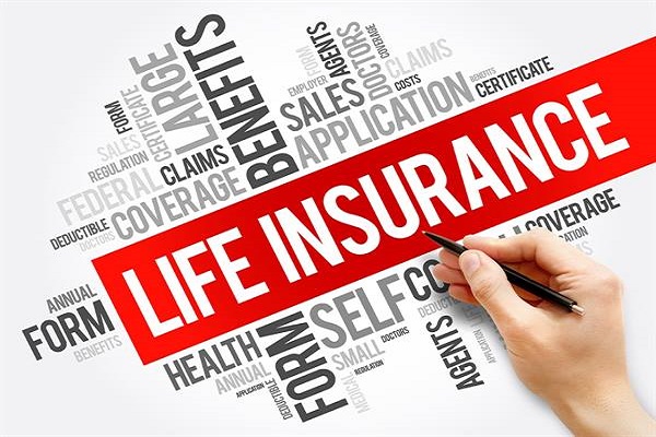 Life Insurance Market in Finland Key Trends and Opportunities to 2024