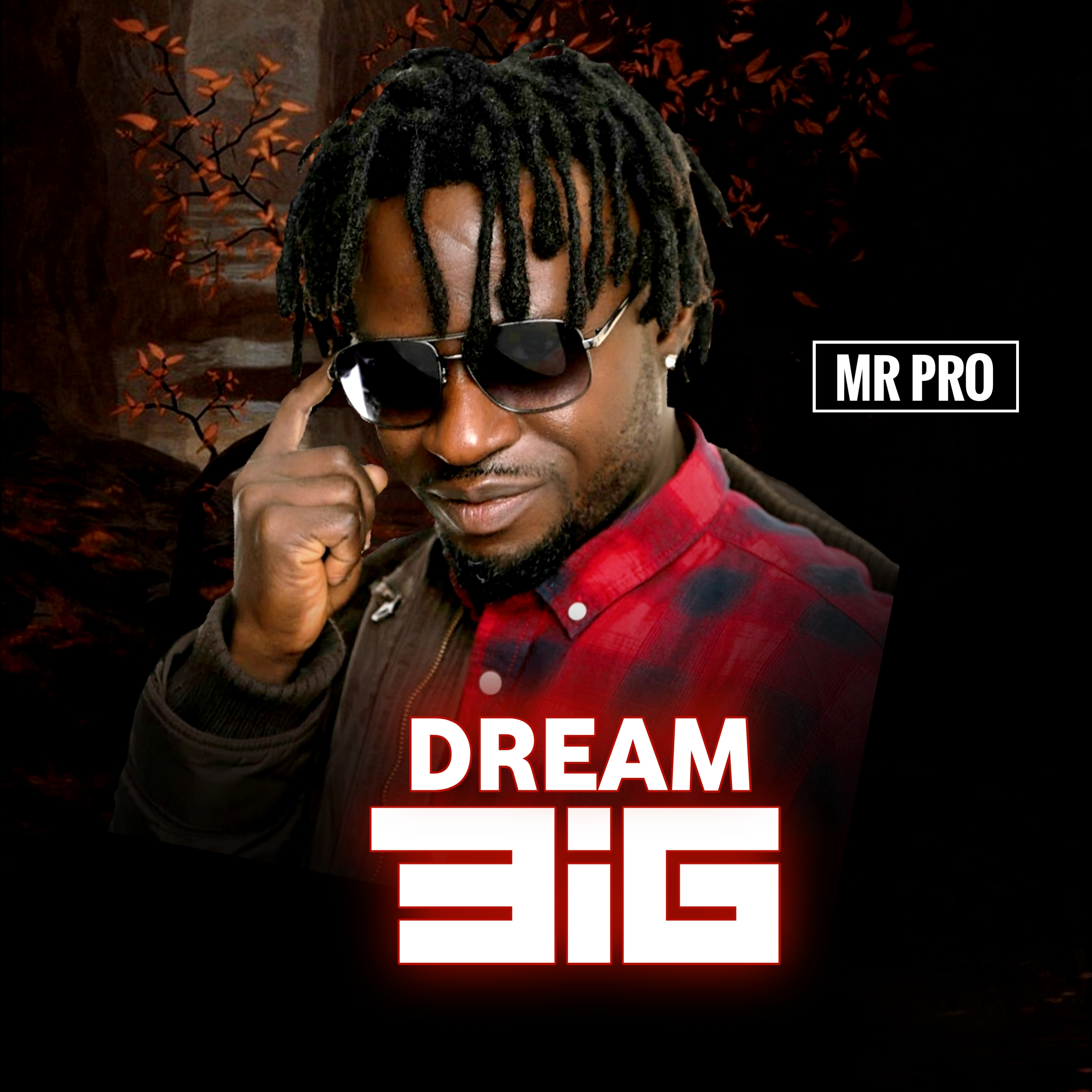 Afrobeats & Reggae Genius Mr PRO Shares Inspiring First Song of 2021, ‘Dream Big’