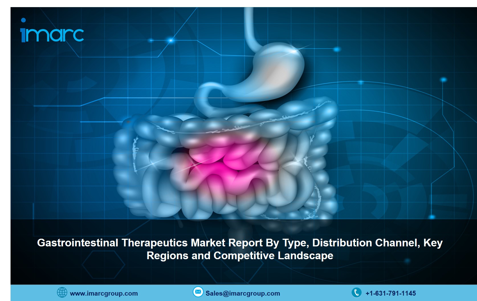 Gastrointestinal Therapeutics Market 2021-26: Size. Share, Price and Industry Trends