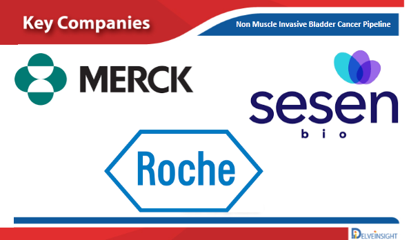 Non Muscle Invasive Bladder Cancer Pipeline, Clinical Trials and Emerging Therapy Assessment by DelveInsight