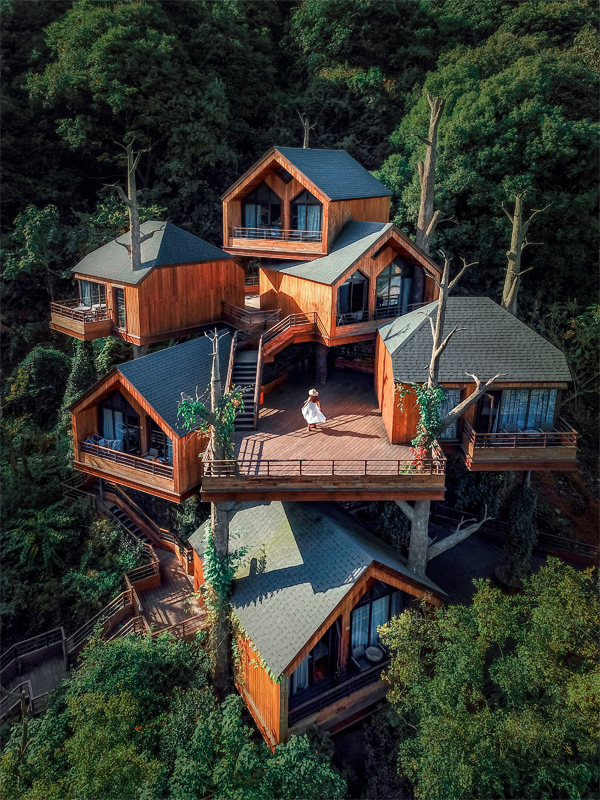 US architect spotlights whimsical tree house resort