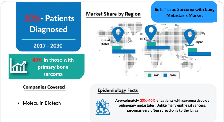 Global Soft Tissue Sarcoma with Lung Metastasis Market Outlook 2030 and, Industry Growth Rate, Opportunities
