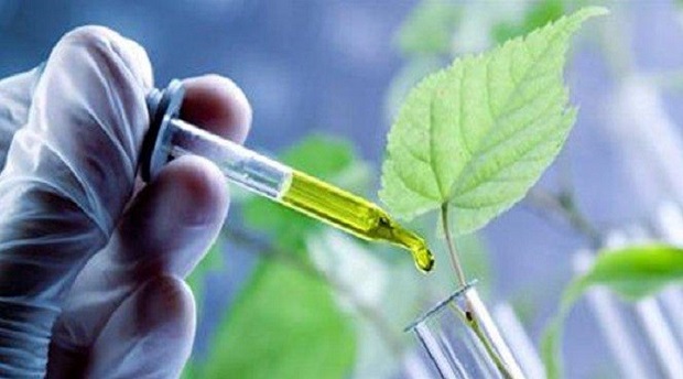 Bio-based Platform Chemicals Market Price Trends 2021-2026: Global Industry Analysis, Growth, Key Players, Size, Share and Forecast
