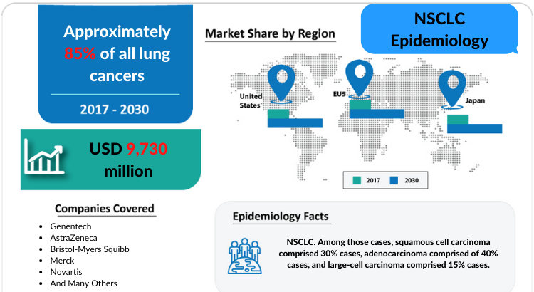 Comprehensive insight has been provided into the epidemiology of the NSCLC and its treatment in the 7MM