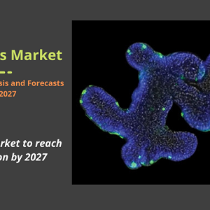 Organoids Market Hits US$ 3,420.40 million by 2027 and to grow at a CAGR of 22.1%