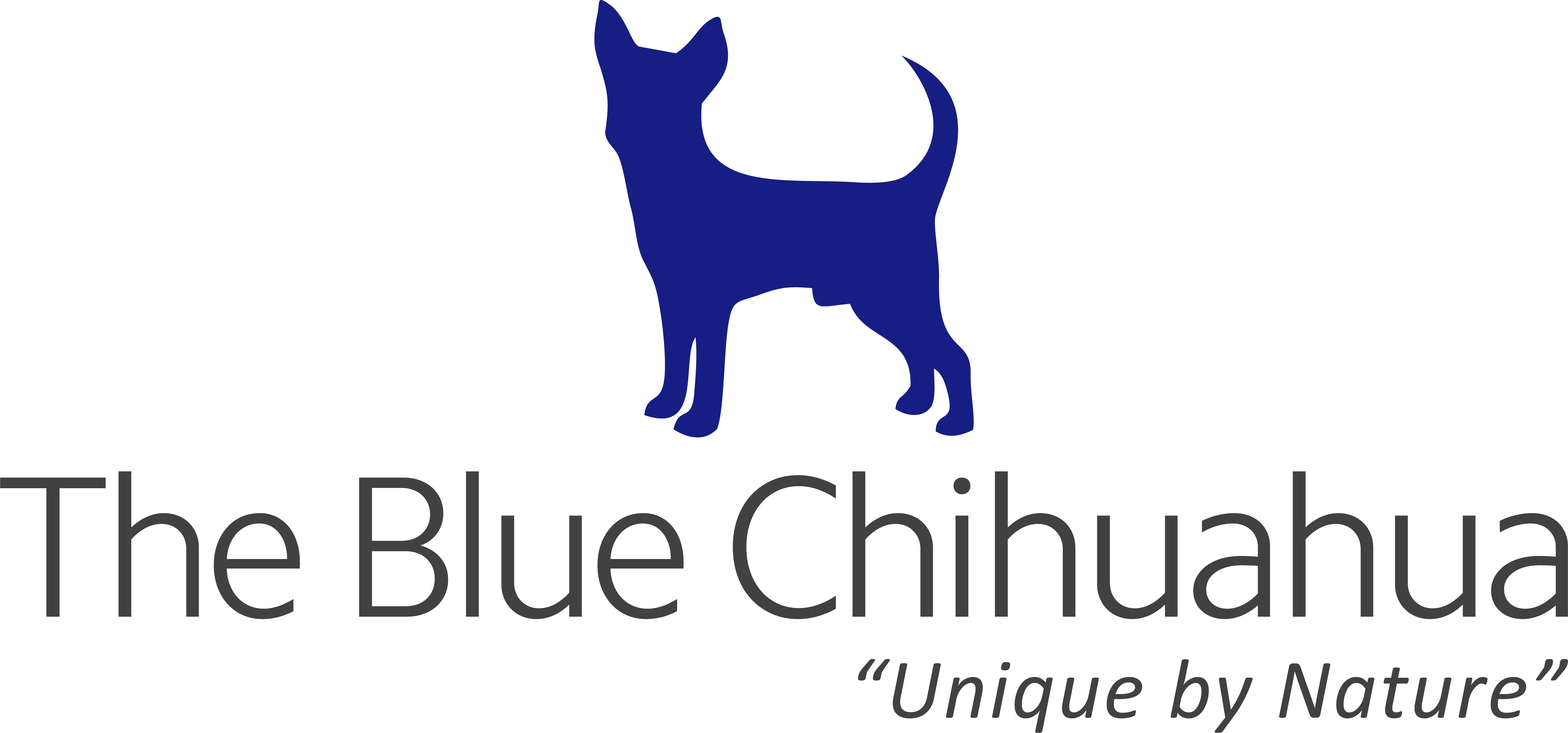 The Blue Chihuahua Finally Launches Website, Calls On Adventure Lovers to Register For Rewarding Treasure Hunt