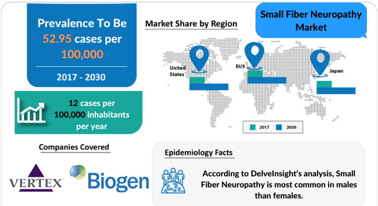 Small Fiber Neuropathy Market, Symptoms and Treatment Market