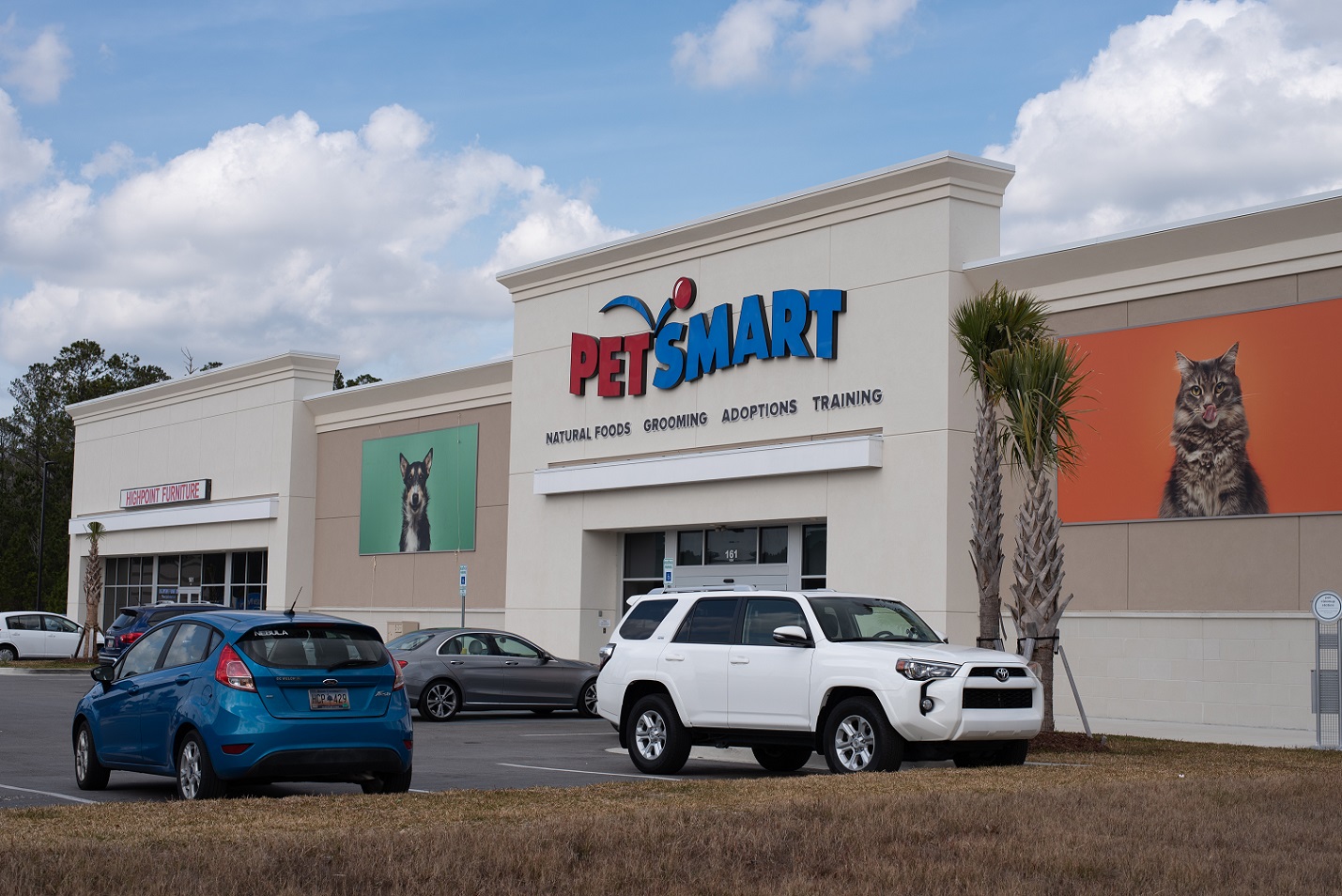 The Boulder Group Arranges Sale of Net Leased PetSmart Property